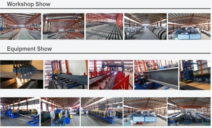 Qingdao Xinguangzheng Husbandry Co.,  Ltd خط إنتاج المصنع