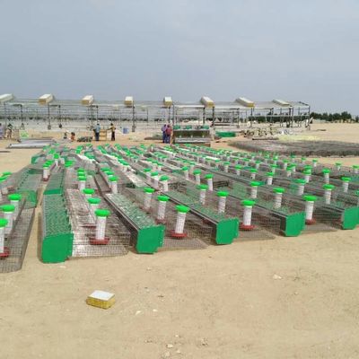 مزرعة الماشية المعدلة مسبقاً منزل الدجاج
