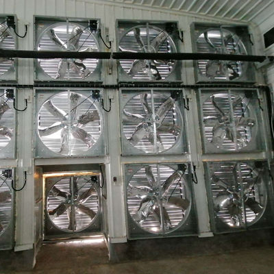 OEM القياسية بيت الدواجن هيكل الفولاذ مع نوافذ متحركة