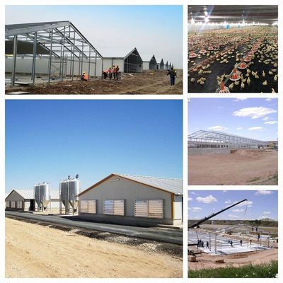 CE منزل مزرعة الماشية الهيكل الفولاذي منزل الدجاج والمعدات للدجاج