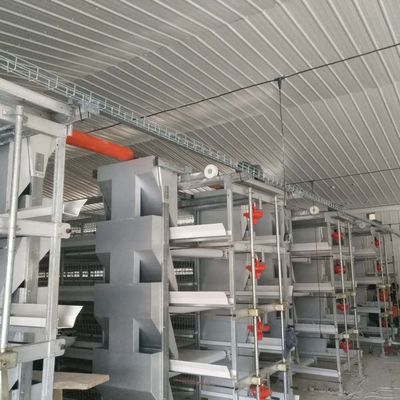 نظام قفص الدجاج للدجاج الكبير 230M * 56M لبلد المنشأ