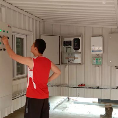 نظام تغذية الطيور الآلي الحل المثالي لمزارع الدواجن