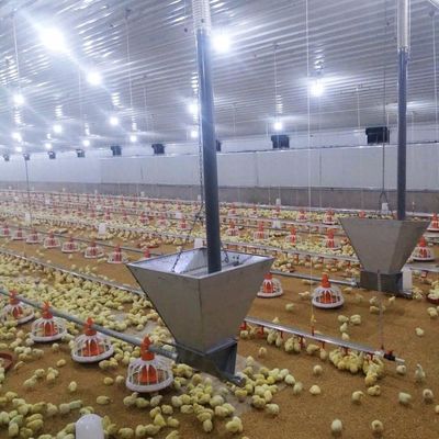 نظام أرضية لحم دجاج طويل الأمد مع مقاومة للتآكل / مواد بلاستيكية