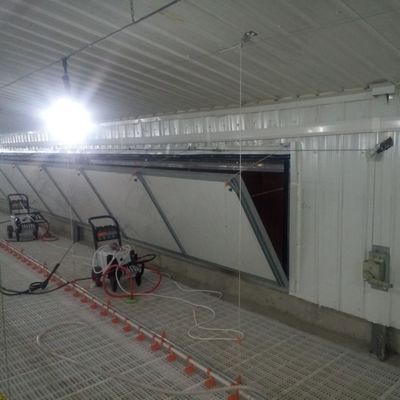 معايير نظام أرضية الطيور ضد الانزلاق لأداء متفوق