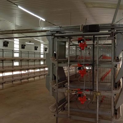 1950*350*380mm قفص وضع الدواجن لمزرعة الدواجن التكنولوجيا المتقدمة
