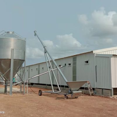 1950*350*380mm قفص وضع الدواجن لمزرعة الدواجن التكنولوجيا المتقدمة