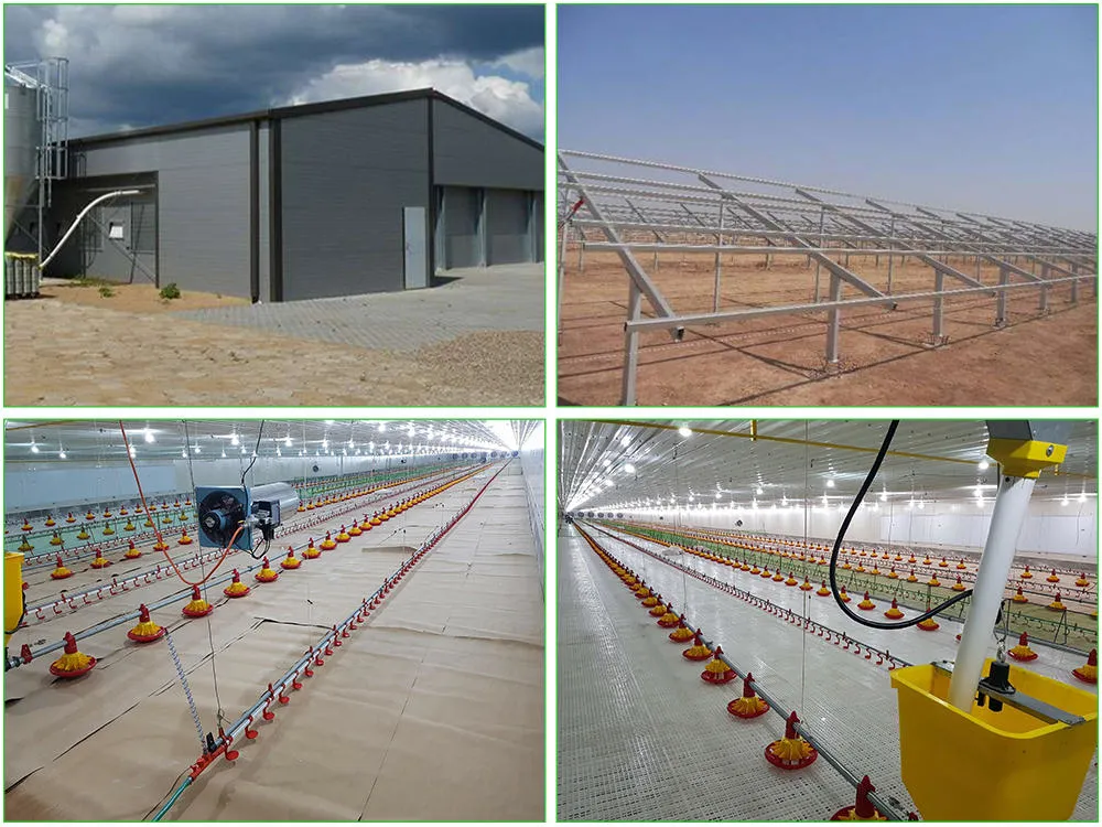 SGS مزرعة الحيوانات المعدة مسبقاً الإطار الفولاذية الآلية كوب الدجاج 3